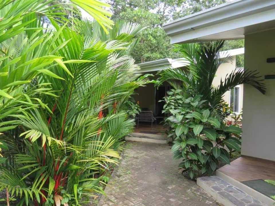 Alloro Jungle Villas Puerto Viejo de Talamanca Esterno foto