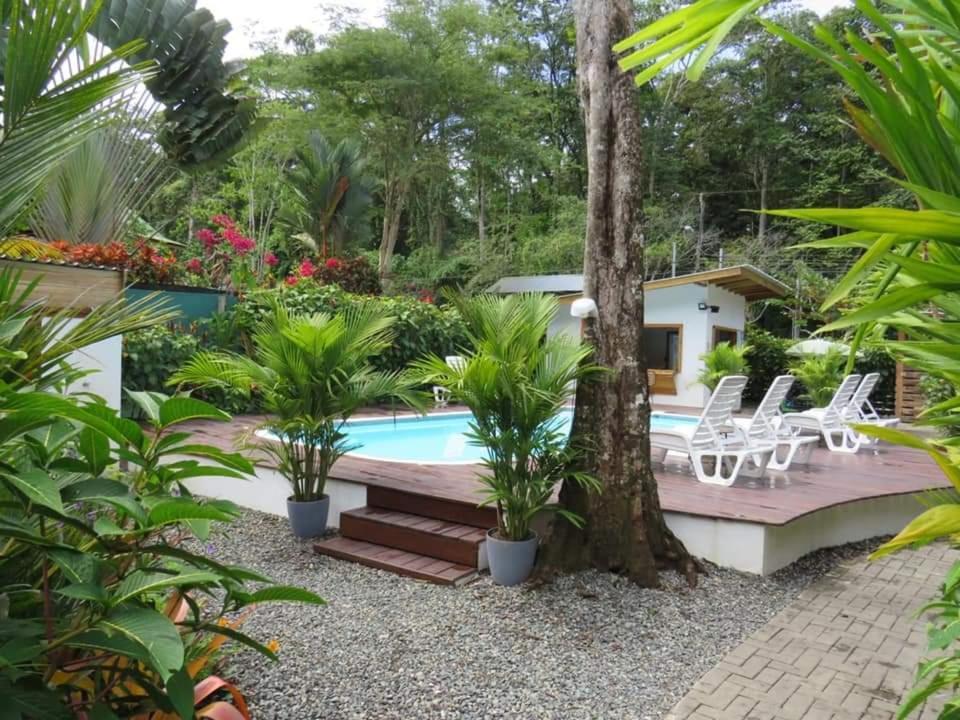Alloro Jungle Villas Puerto Viejo de Talamanca Esterno foto