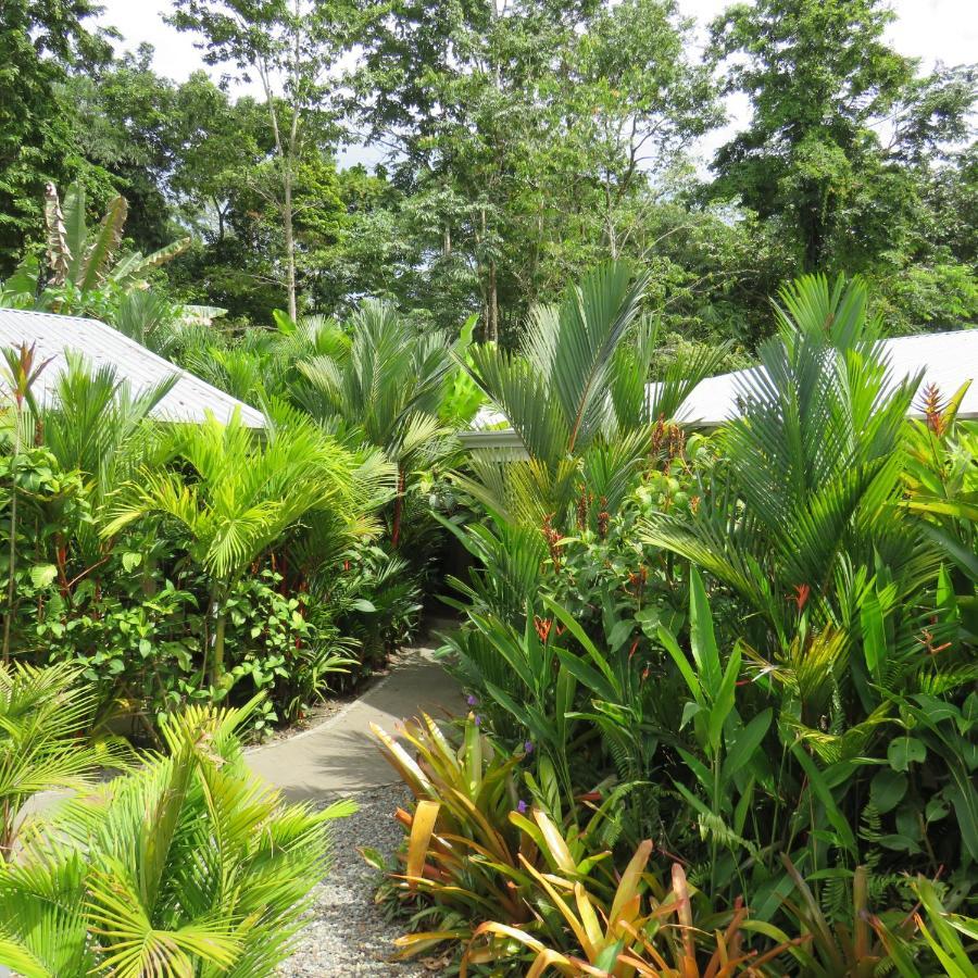 Alloro Jungle Villas Puerto Viejo de Talamanca Esterno foto