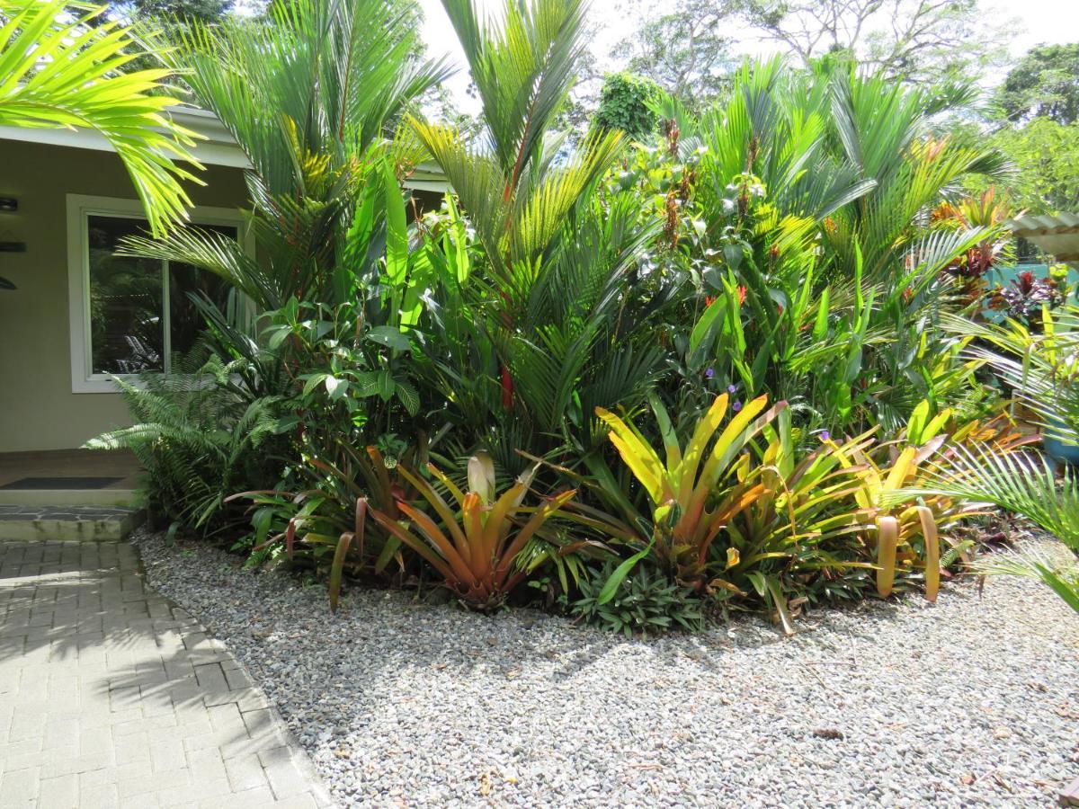 Alloro Jungle Villas Puerto Viejo de Talamanca Esterno foto