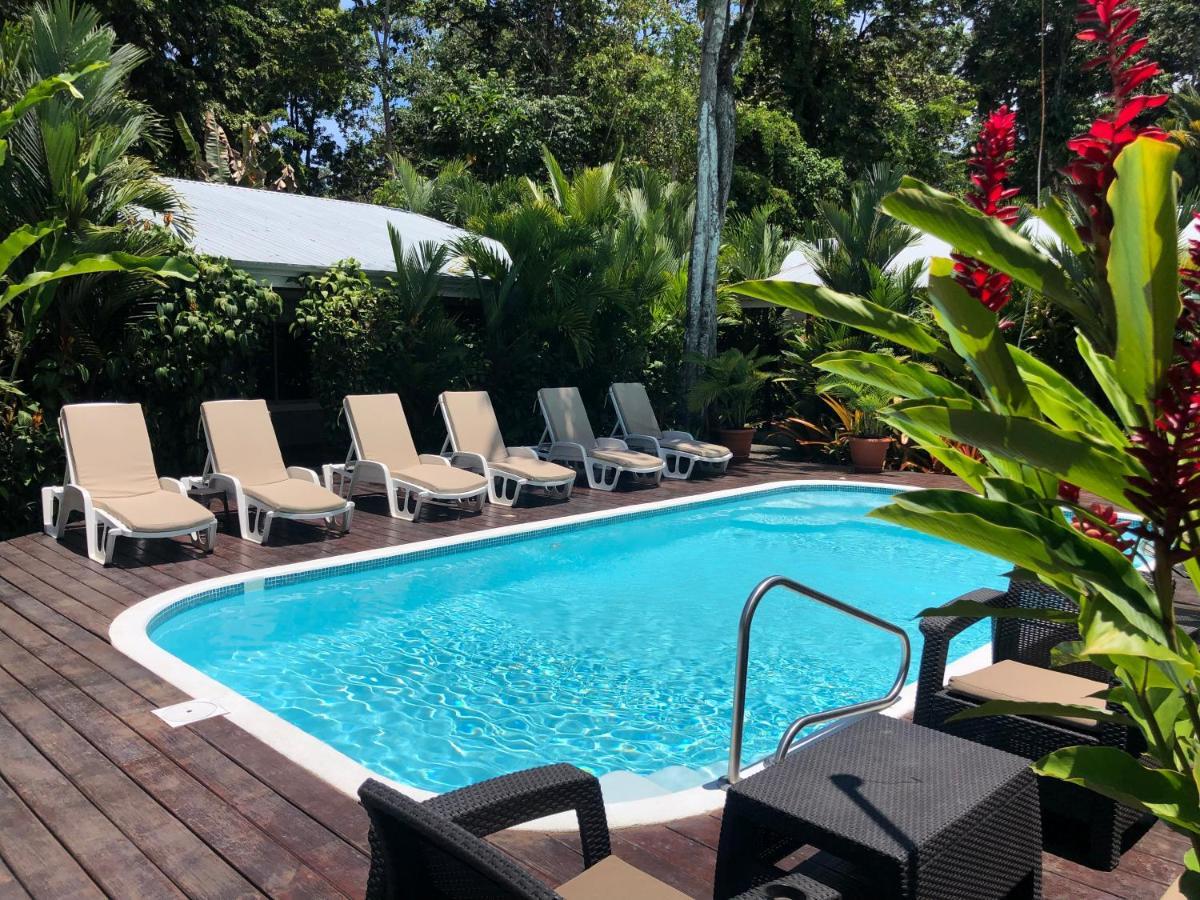 Alloro Jungle Villas Puerto Viejo de Talamanca Esterno foto