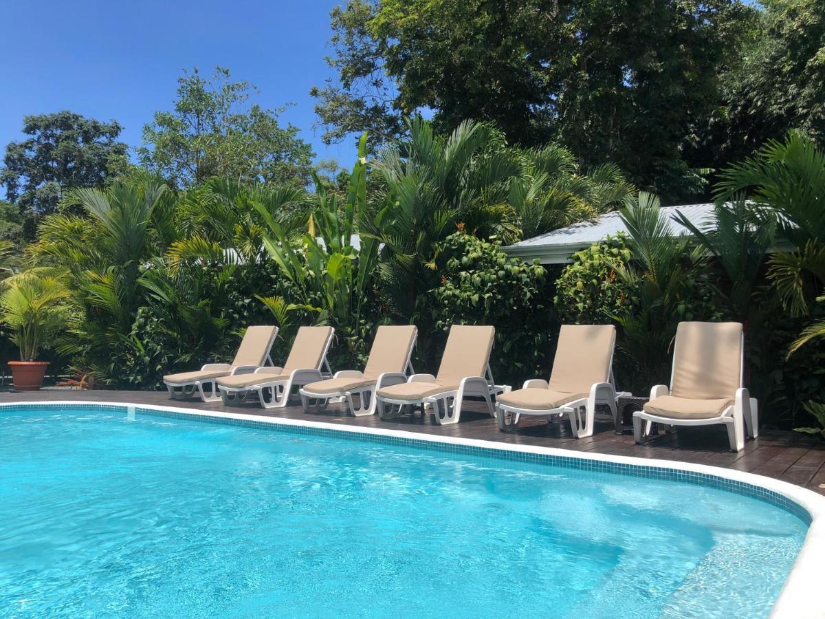 Alloro Jungle Villas Puerto Viejo de Talamanca Esterno foto